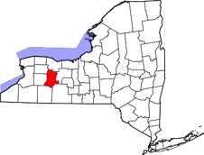 Livingston County map