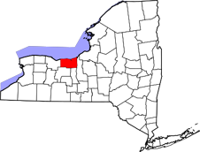 Wayne County map